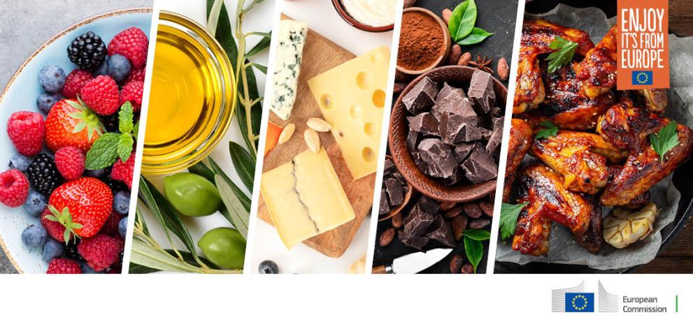 india-enjoy-from-europe_538x250